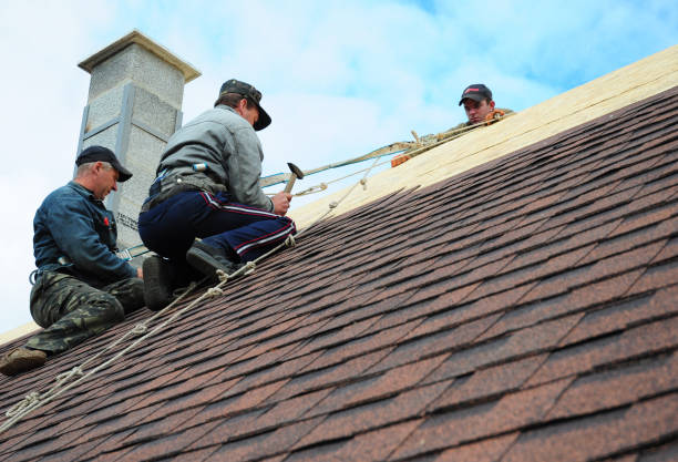 Roof Gutter Cleaning in Fosston, MN