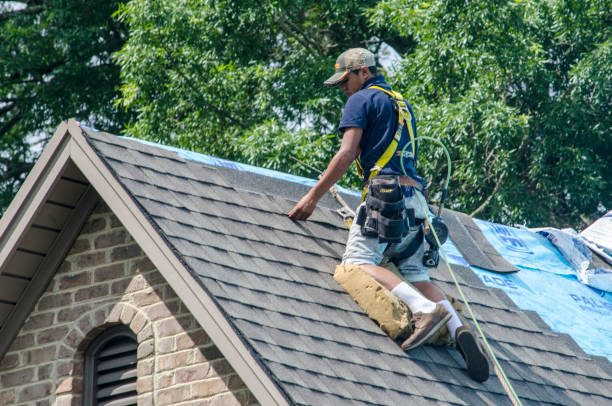 Best Roof Leak Repair  in Fosston, MN